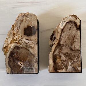 Rare Sequoia Petrified Wood bookends from Saddle Mountain, Washington